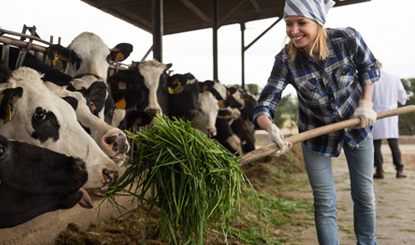 Agriculture